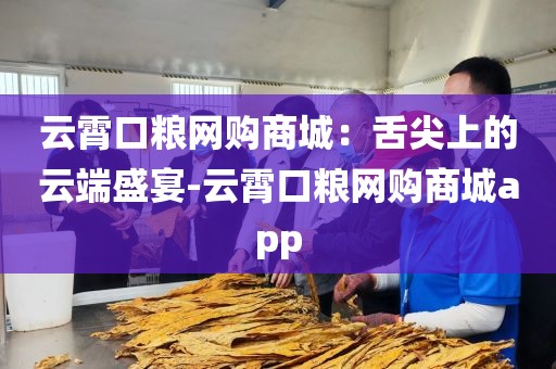 云霄口粮网购商城：舌尖上的云端盛宴-云霄口粮网购商城app