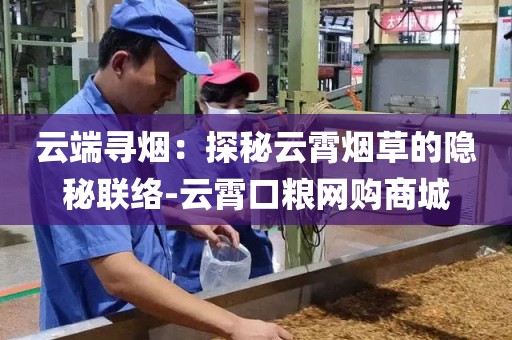 云端寻烟：探秘云霄烟草的隐秘联络-云霄口粮网购商城