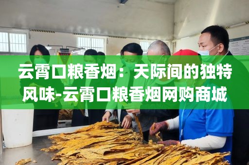 云霄口粮香烟：天际间的独特风味-云霄口粮香烟网购商城