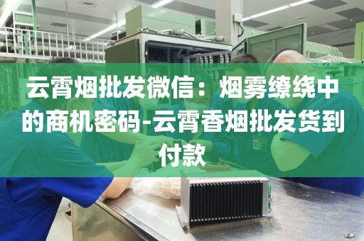 云霄烟批发微信：烟雾缭绕中的商机密码-云霄香烟批发货到付款