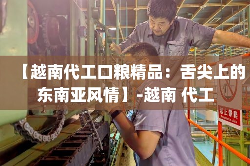 【越南代工口粮精品：舌尖上的东南亚风情】-越南 代工