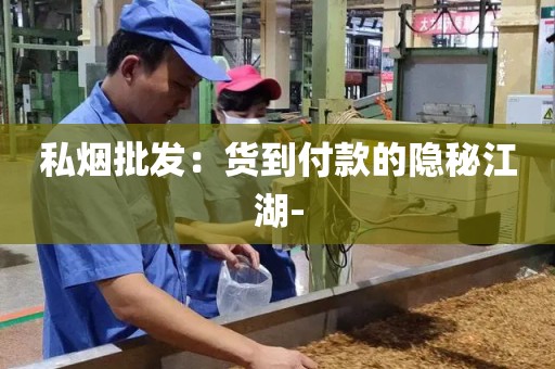 私烟批发：货到付款的隐秘江湖-