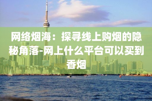 网络烟海：探寻线上购烟的隐秘角落-网上什么平台可以买到香烟