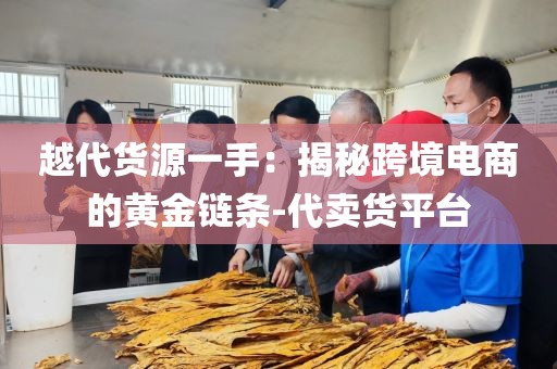 越代货源一手：揭秘跨境电商的黄金链条-代卖货平台