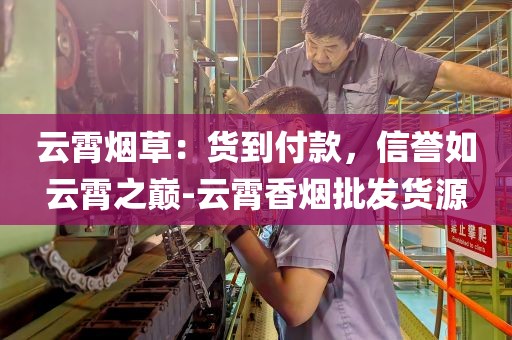 云霄烟草：货到付款，信誉如云霄之巅-云霄香烟批发货源